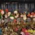 Sportowe przedstawienie (galeria: 4)