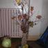 Wystawa - Jesienne cudaki; 23-09-2015 (galeria: 28)