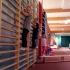 ,,Mali Olimpijczycy" (galeria: 9)