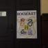 HARRY POTTER I AULA TAJEMNIC (galeria: 3)