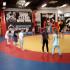 "Kotki" w Kuźni Sportu (galeria: 5)