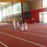 Olimpiada Sportowa