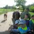 Wizyta w leśnicz&oacute;wce