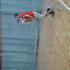 Spotkanie integracyjne - sala sportowa SOSW Gr IV 13.06.2013 (galeria: 8)