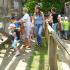 Wycieczka do "Leśnego Kota": gr. III; 10.06.2014 (galeria: 11)