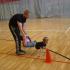 Spotkanie integracyjne - sala sportowa SOSW Gr IV 13.06.2013 (galeria: 13)