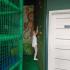 Sala zabaw HOPS (galeria: 12)