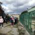 Międzynarodowy Dzień Zwierząt (galeria: 7)