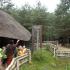 Wycieczka do Doliny Charlotty; gr. IV; 21-06-2016 (galeria: 14)