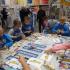 ,,Stokrotki''w Castoramie (galeria: 2)