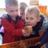 Wycieczka do wylęgarni drobiu:) 05-04-2016 (galeria: 4)