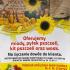 Dzień Pszczoły (galeria: 2)