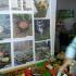 Wycieczka do Powiatowej Stacji Sanitarno - Epidemiologicznej - wystawa grzybów 20.09.2012