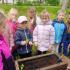 Ogródek warzywny - projekt edukacyjny Graj z nami w zielone (galeria: 9)