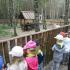 ,,Motylki''w Dolinie Charlotty (galeria: 4)
