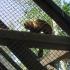 ,,Motylki'' w Dolinie Charlotty (galeria: 21)