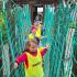 FOKARIUM SEA PARK SARBSK (galeria: 3)