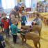 WIZYTA GOŚCI ZE SŁUPSKIEGO SCHRONISKA DLA ZWIERZĄT (galeria: 17)
