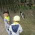 ,,Motylki''w Dolinie Charlotty (galeria: 2)