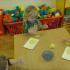 ZAJĄCE Z MASY SOLNEJ GR I (galeria: 15)