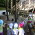 ,,Motylki'' w Dolinie Charlotty (galeria: 6)