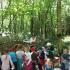 Wycieczka do Łeby - Park Dionozaurów :) Gr. IV  06.06.2017 r. (galeria: 15)