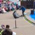 FOKARIUM SEA PARK SARBSK (galeria: 5)