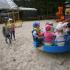 ,,Motylki''w Dolinie Charlotty (galeria: 36)