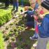 Sadzenie kwiatów w parku, gr. IV; 08-05-2015 (galeria: 8)