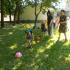 Parada Kapeluszowa; gr. IV; 03-06-2016 (galeria: 17)