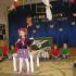 Przedstawienie "Dobre rady na nasze wady" (galeria: 2)