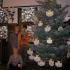 Aniołki w ratuszu, 02.12.2014 (galeria: 5)