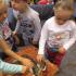 ,,Słoneczka''w bibliotece (galeria: 15)