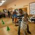 Andrzejki u ,,Stokrotek'' (galeria: 12)