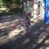 Cudaki ziemniaki - konkurs PM nr 10; gr. IV; 01-10-2015 (galeria: 14)