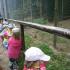,,Motylki''w Dolinie Charlotty (galeria: 25)