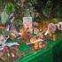 Wystawa grzybów, gr. III i IV; 23-09-2015 (galeria: 2)