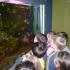 Gr IV Park Krajobrazowy Dolina Słupi 15.03.2012 (galeria: 19)