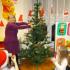 Uroczyste ubieranie choinki; gr.  IV; 17-12-2015 (galeria: 8)