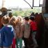 Wycieczka na ratuszową wieżę: gr. III; 17.05.2014 (galeria: 15)