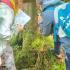 Wycieczka do Warcina (galeria: 27)