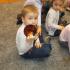 Motylki w bibliotece (galeria: 5)