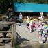 Wycieczka do "Leśnego Kota": gr. III; 10.06.2014 (galeria: 2)