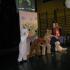 Światowy Dzień Misia; gr. IV, 27.11.2014 (galeria: 18)