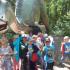 Wycieczka do Łeby - Park Dionozaurów :) Gr. IV  06.06.2017 r. (galeria: 11)