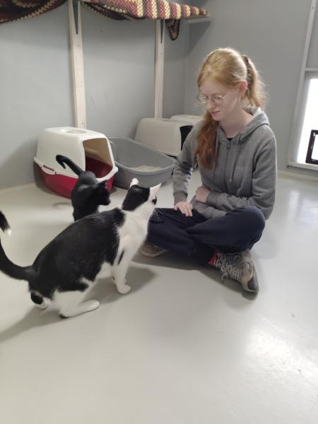 Uczennica z ZSE podczas nauki w schronisku zajmująca się dwa kotkami o umaszczeniu czarnym i biało-czarnym.