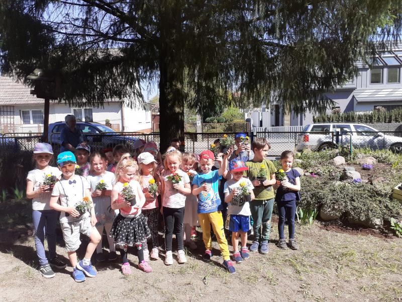 Uśmiechnięte przesdszkolaki stoją w ogrodzie przedszkolnym i w ręku trzymają kwiatka wiosennego do zasadzenia.