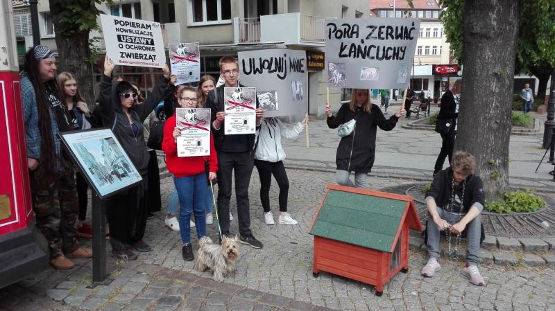 Młodzi słupszczanie protestowali przeciw trzymaniu psów na łańcuchach