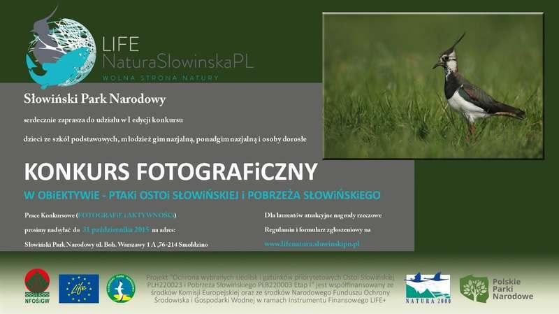 Konkurs fotograficzny