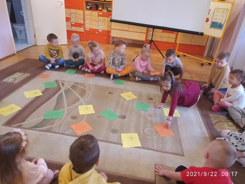 Dzieci wybierają listki znajdujące się na kolorowych kartkach, nazywając drzewo na którym rosna
